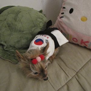 Meet your Posher, Hyo-jung